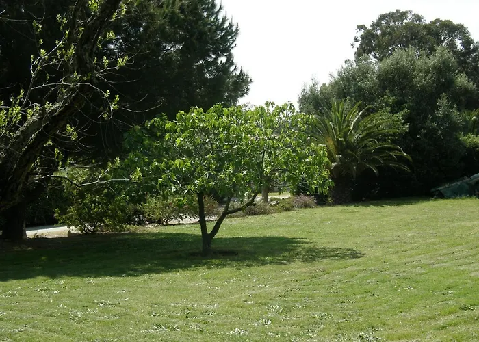 Pieds Dans L'eau Plage Privee